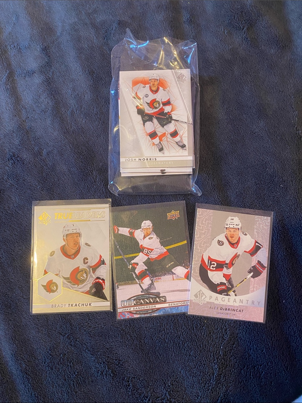 NHL Upper Deck Ottawa Senators Hockey Card Lot